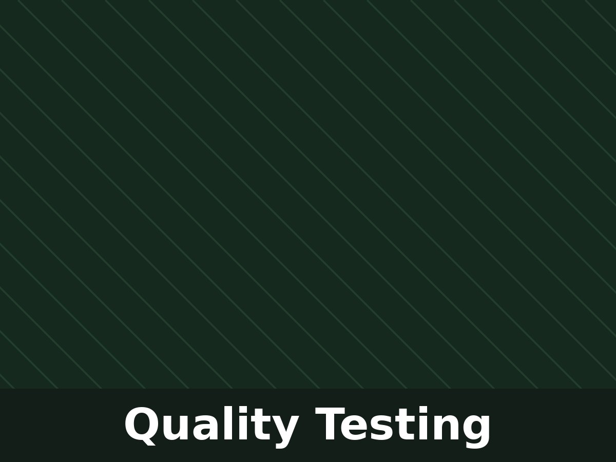 Quality testing at Pragitha's facility